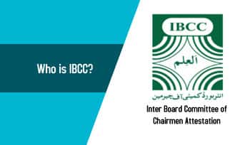 who is IBCC